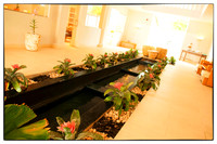 Punta_Cana-12
