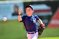 Yankees 7U Action Shots