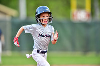 Oak Mountain 8U Marlins