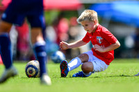 AFC U9 Navy
