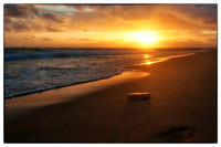Landscapes